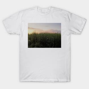 Creepy Maize Field In France T-Shirt